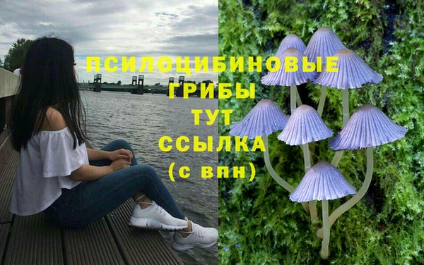 мескалин Каменск-Шахтинский