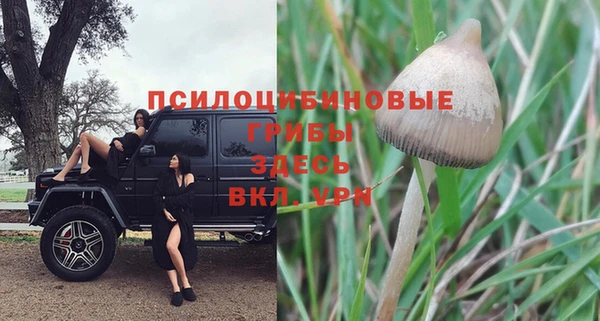 мескалин Каменск-Шахтинский