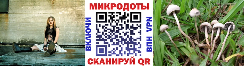 Псилоцибиновые грибы GOLDEN TEACHER  Купить где  Ельня 